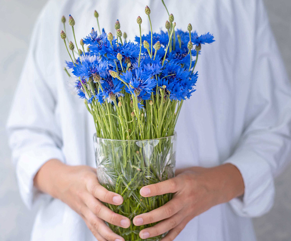 Ведение бизнеса в Республике Беларусь